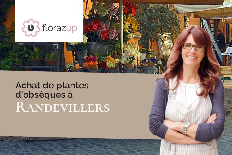 croix de fleurs pour un décès à Randevillers (Doubs/25430)