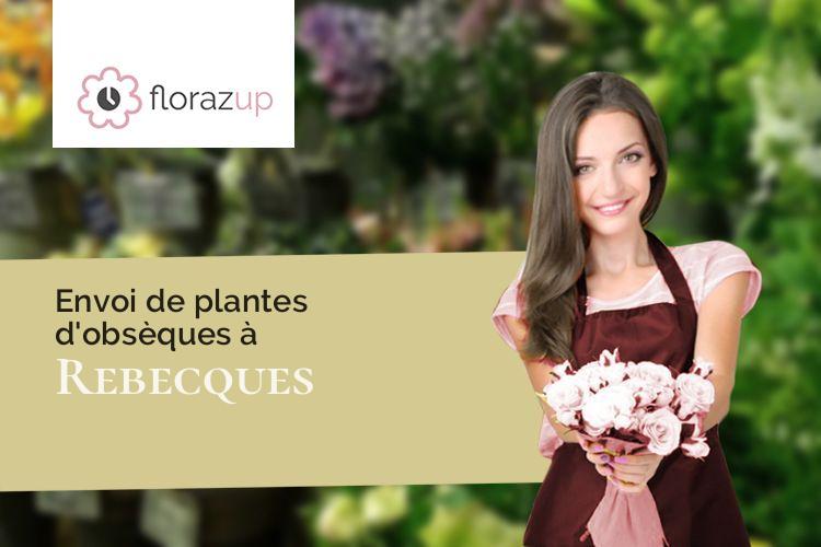 couronnes florales pour un décès à Rebecques (Pas-de-Calais/62120)