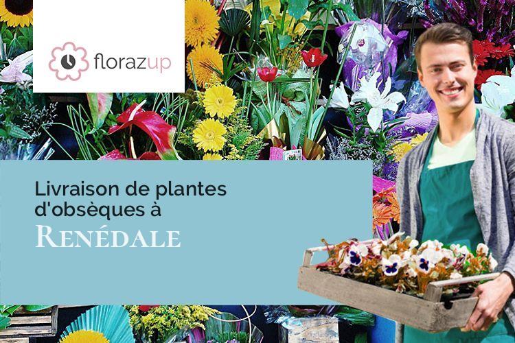 plantes pour un enterrement à Renédale (Doubs/25520)