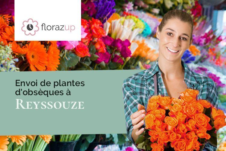 plantes pour un décès à Reyssouze (Ain/01190)