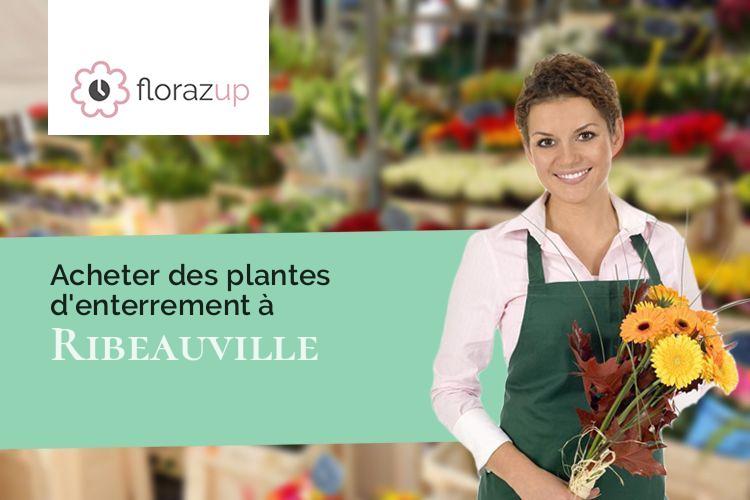 couronnes florales pour un décès à Ribeauville (Aisne/02110)