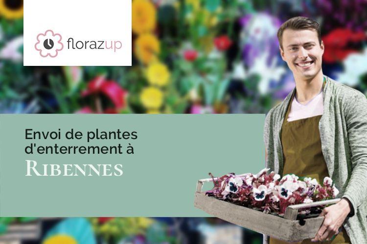 bouquets de fleurs pour un décès à Ribennes (Lozère/48700)