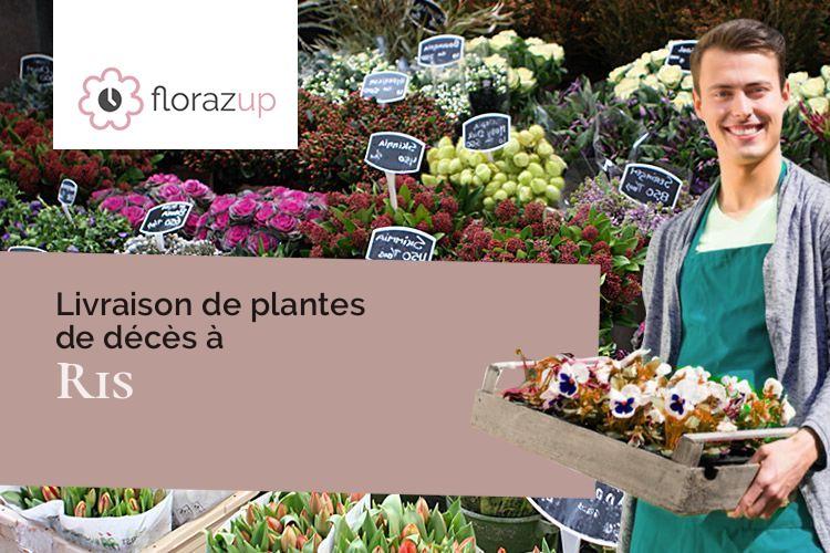 coeurs de fleurs pour un décès à Ris (Puy-de-Dôme/63290)