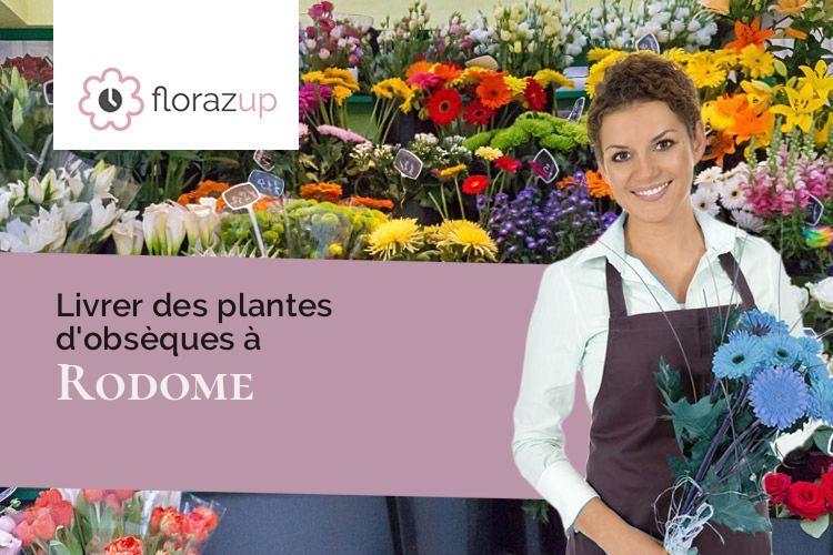 coeurs de fleurs pour un décès à Rodome (Aude/11140)