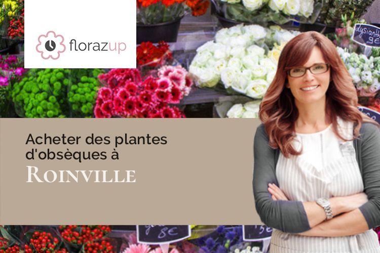 plantes pour un deuil à Roinville (Eure-et-Loir/28700)