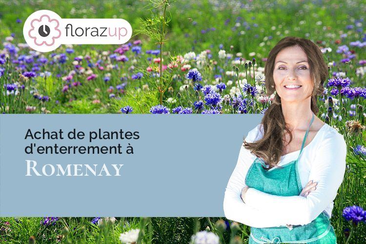 gerbes de fleurs pour un décès à Romenay (Saône-et-Loire/71470)