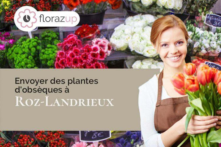 fleurs deuil pour des funérailles à Roz-Landrieux (Ille-et-Vilaine/35120)