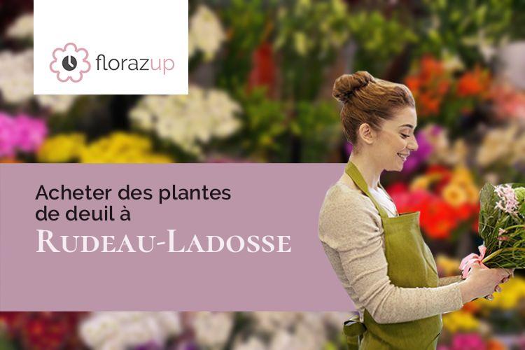 créations de fleurs pour un décès à Rudeau-Ladosse (Dordogne/24340)