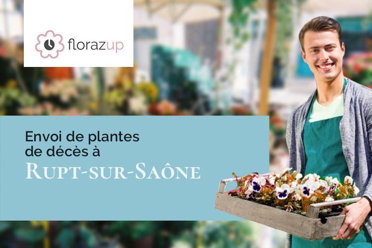 coeurs de fleurs pour un décès à Rupt-sur-Saône (Haute-Saône/70360)
