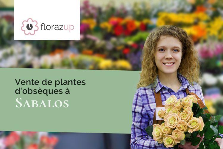 coupes de fleurs pour un décès à Sabalos (Hautes-Pyrénées/65350)