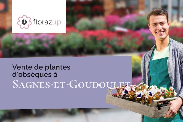 plantes pour des funérailles à Sagnes-et-Goudoulet (Ardèche/07450)