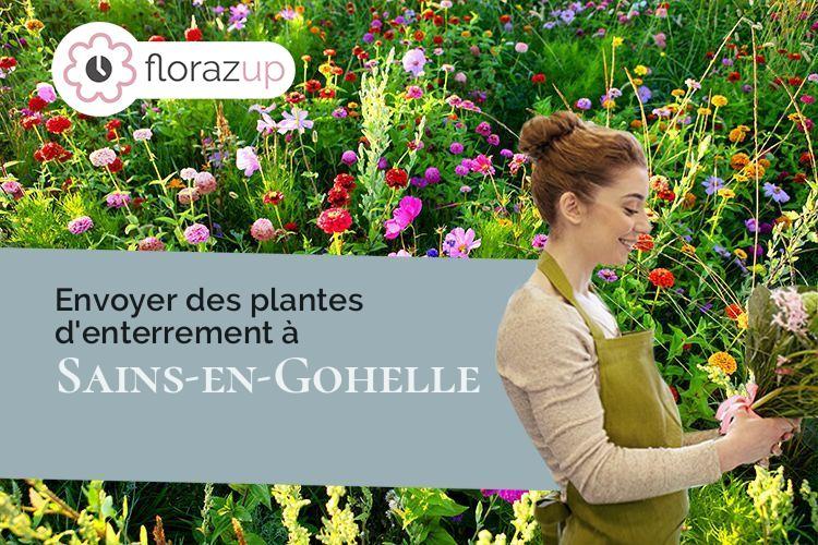 plantes pour des obsèques à Sains-en-Gohelle (Pas-de-Calais/62114)