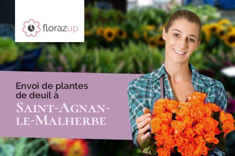 plantes pour des funérailles à Saint-Agnan-le-Malherbe (Calvados/14260)