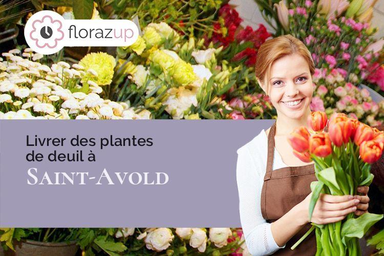 plantes pour des funérailles à Saint-Avold (Moselle/57500)