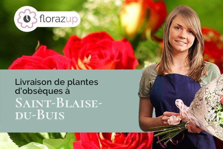plantes pour des funérailles à Saint-Blaise-du-Buis (Isère/38140)