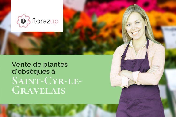 plantes pour un deuil à Saint-Cyr-le-Gravelais (Mayenne/53320)