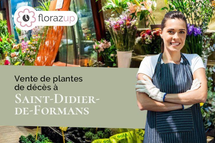 couronnes florales pour une crémation à Saint-Didier-de-Formans (Ain/01600)