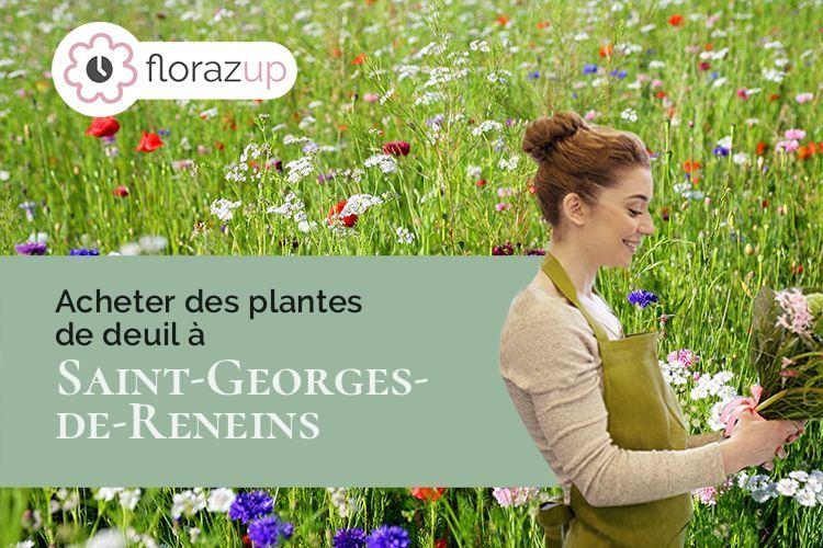 gerbes de fleurs pour un décès à Saint-Georges-de-Reneins (Rhône/69830)