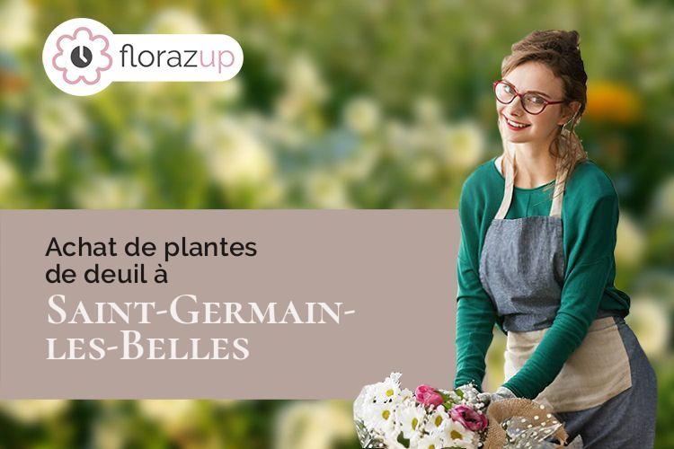 plantes pour des funérailles à Saint-Germain-les-Belles (Haute-Vienne/87380)