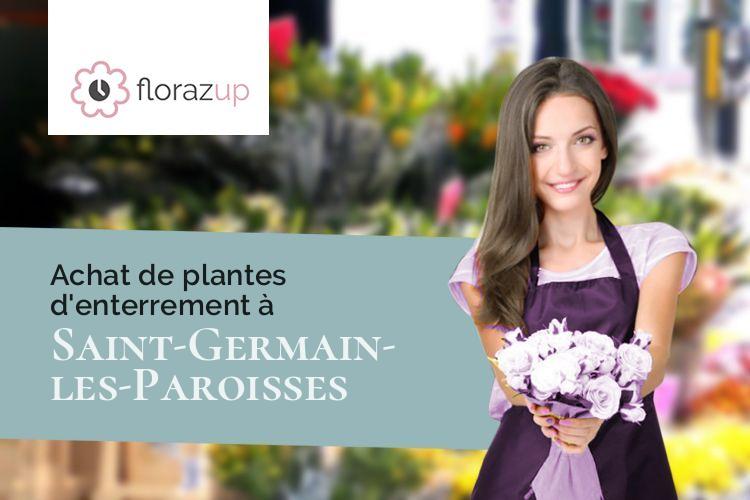 fleurs deuil pour un décès à Saint-Germain-les-Paroisses (Ain/01300)