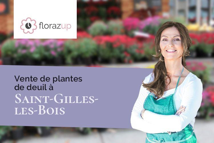 fleurs deuil pour une crémation à Saint-Gilles-les-Bois (Côtes-d'Armor/22290)