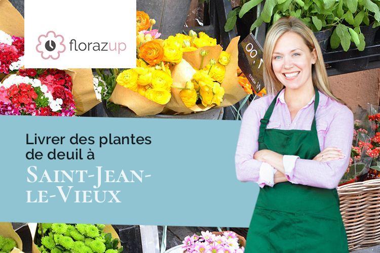 compositions florales pour un décès à Saint-Jean-le-Vieux (Pyrénées-Atlantiques/64220)