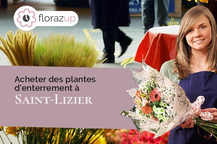 bouquets de fleurs pour des funérailles à Saint-Lizier (Ariège/09190)