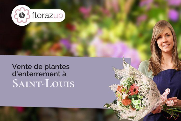 couronnes florales pour un enterrement à Saint-Louis (Haut-Rhin/68128)