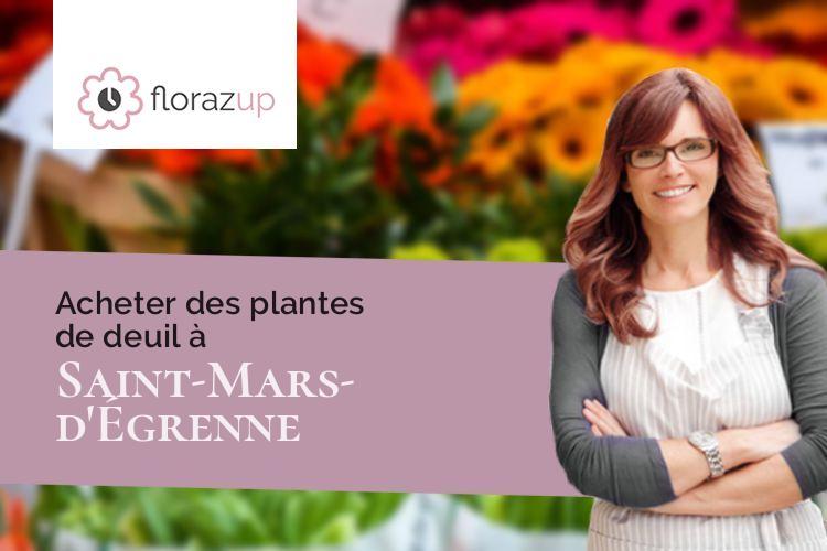 plantes pour des funérailles à Saint-Mars-d'Égrenne (Orne/61350)