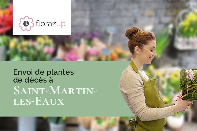 couronnes florales pour un enterrement à Saint-Martin-les-Eaux (Alpes-de-Haute-Provence/04870)