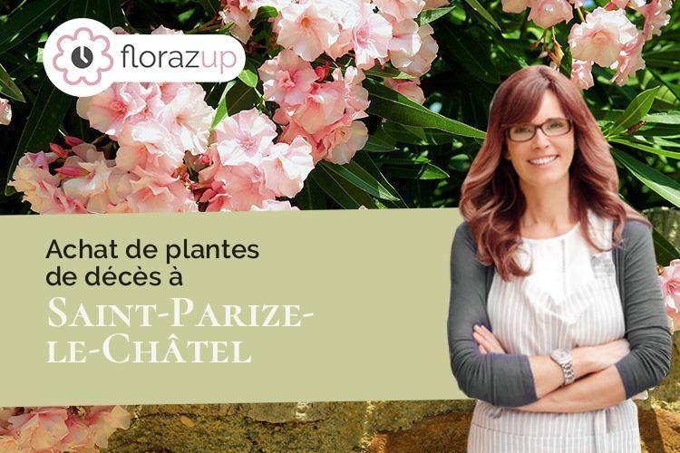 gerbes de fleurs pour un décès à Saint-Parize-le-Châtel (Nièvre/58490)