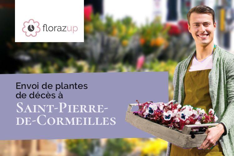 fleurs deuil pour des obsèques à Saint-Pierre-de-Cormeilles (Eure/27260)