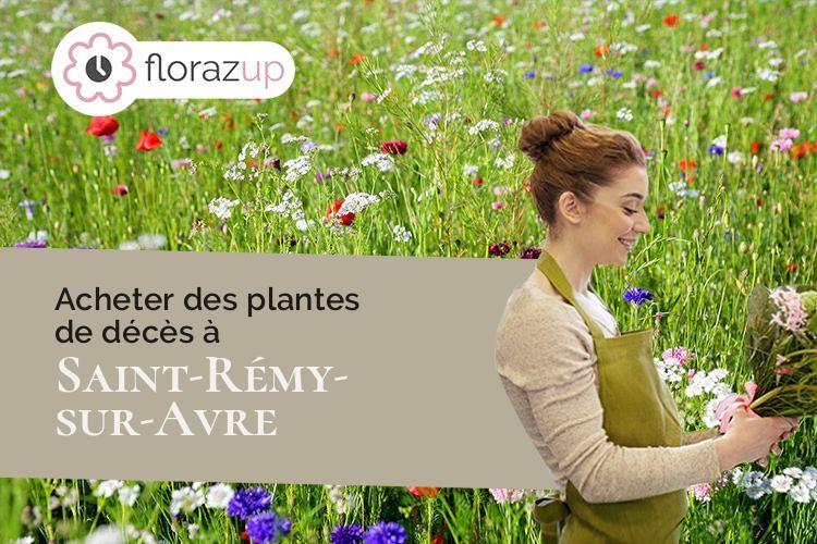 créations de fleurs pour un décès à Saint-Rémy-sur-Avre (Eure-et-Loir/28380)