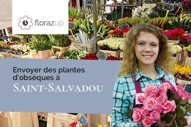 plantes pour un deuil à Saint-Salvadou (Aveyron/12200)