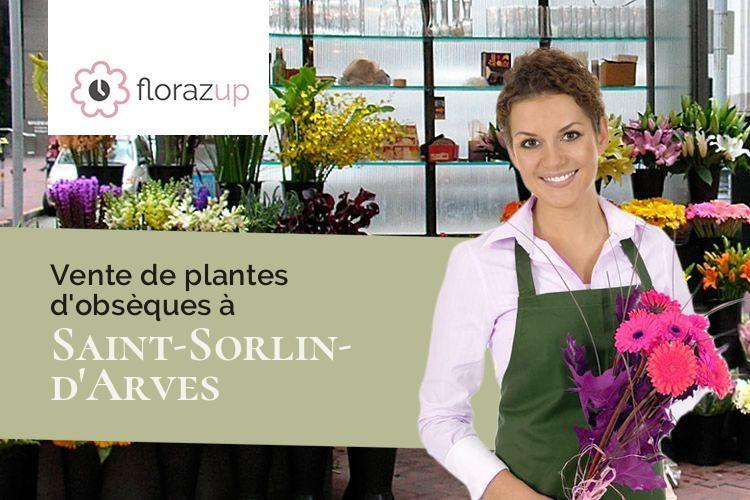 plantes pour un décès à Saint-Sorlin-d'Arves (Savoie/73530)
