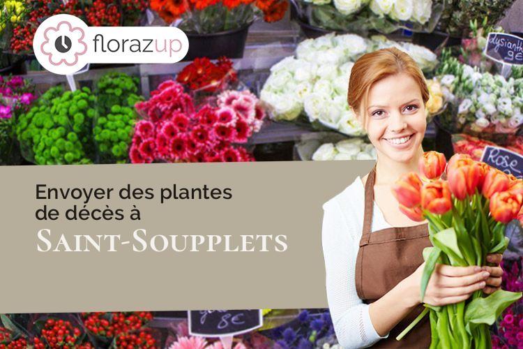 bouquets de fleurs pour des funérailles à Saint-Soupplets (Seine-et-Marne/77165)