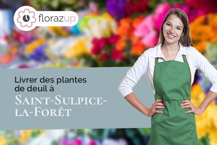 plantes pour un décès à Saint-Sulpice-la-Forêt (Ille-et-Vilaine/35250)