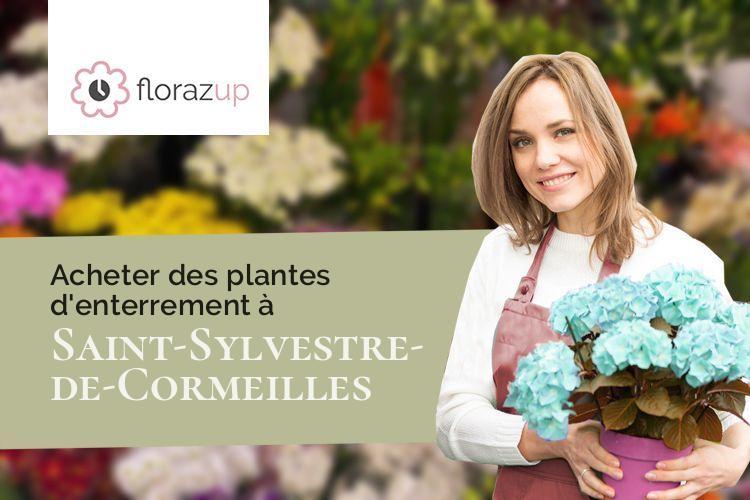 plantes pour un décès à Saint-Sylvestre-de-Cormeilles (Eure/27260)