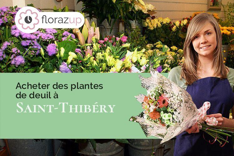 coeur de fleurs pour un décès à Saint-Thibéry (Hérault/34630)