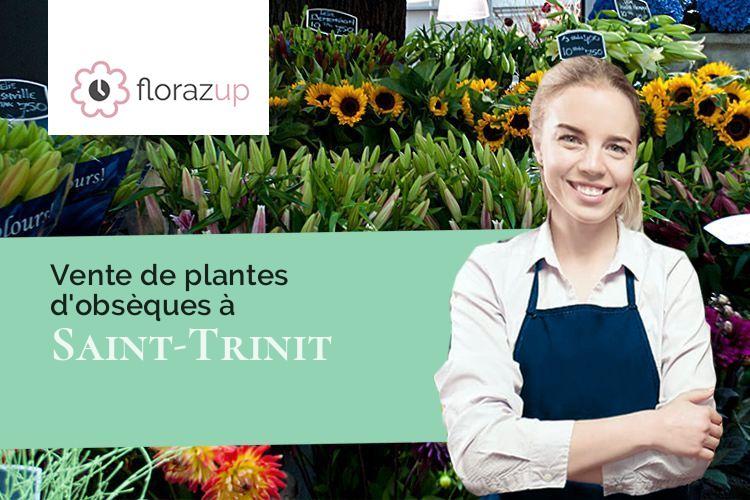 bouquets de fleurs pour des obsèques à Saint-Trinit (Vaucluse/84390)