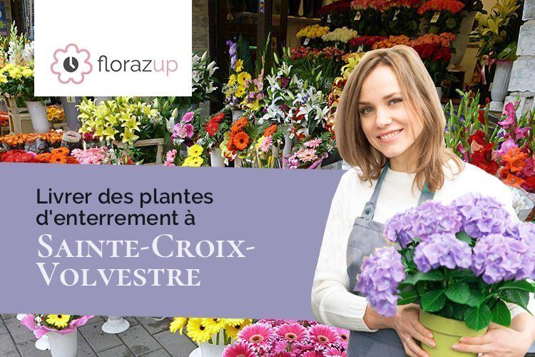 couronnes de fleurs pour un deuil à Sainte-Croix-Volvestre (Ariège/09230)