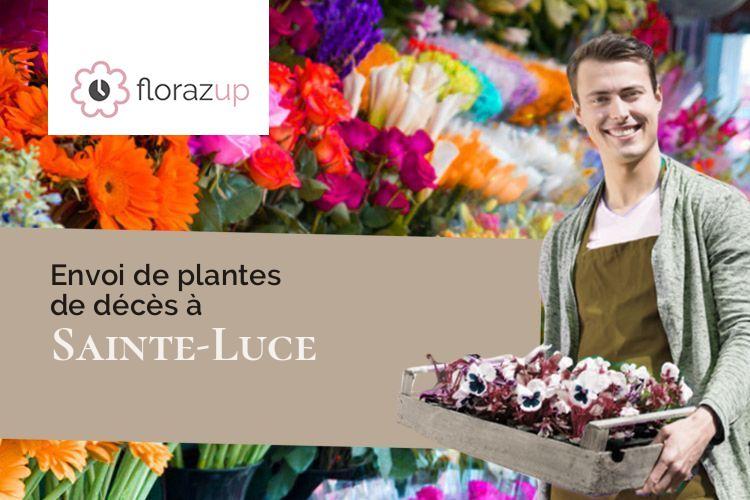 créations florales pour une crémation à Sainte-Luce (Isère/38970)