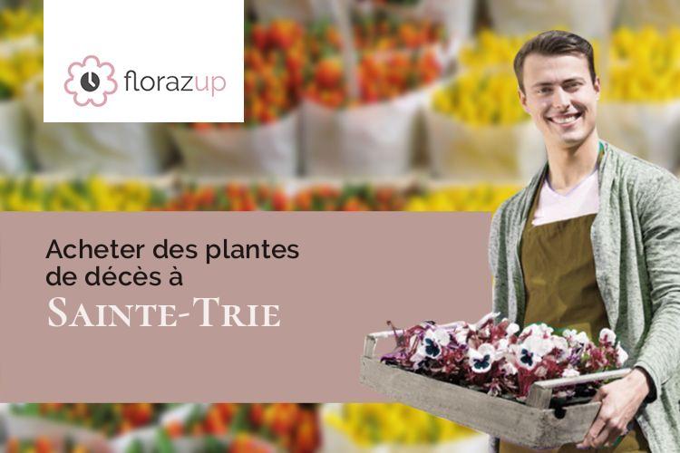 plantes pour des funérailles à Sainte-Trie (Dordogne/24160)