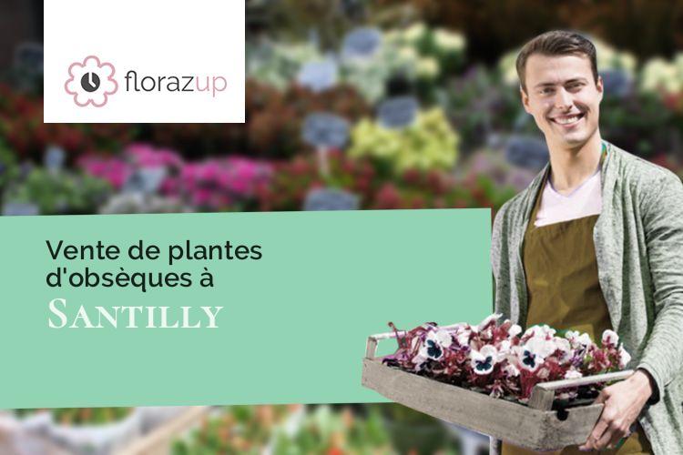 plantes pour des funérailles à Santilly (Eure-et-Loir/28310)