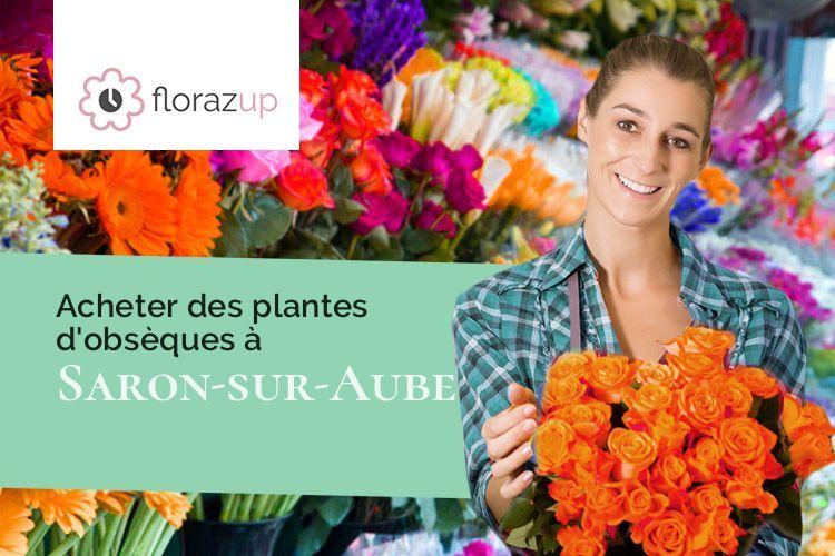 plantes pour des obsèques à Saron-sur-Aube (Marne/51260)