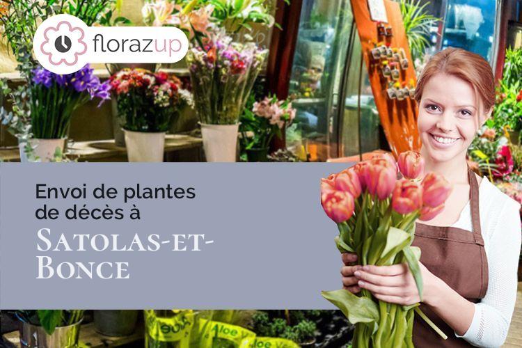 bouquets de fleurs pour un deuil à Satolas-et-Bonce (Isère/38290)