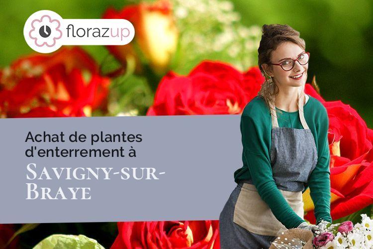plantes pour un décès à Savigny-sur-Braye (Loir-et-Cher/41360)
