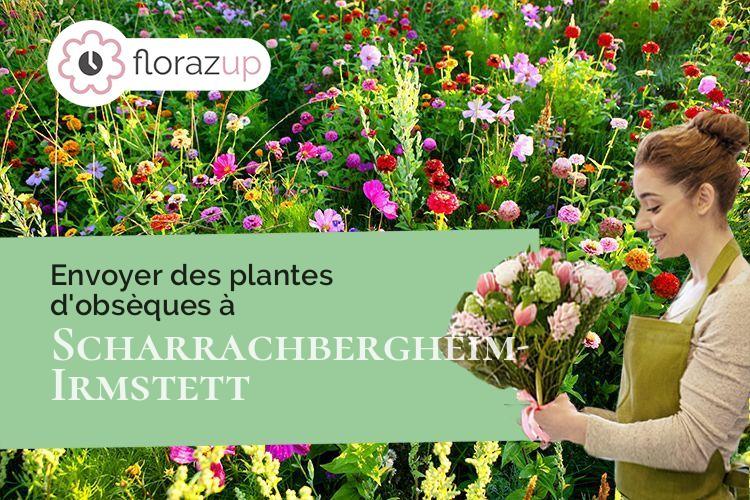 gerbes de fleurs pour un décès à Scharrachbergheim-Irmstett (Bas-Rhin/67310)
