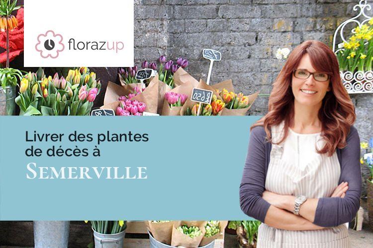 compositions florales pour des funérailles à Semerville (Loir-et-Cher/41160)