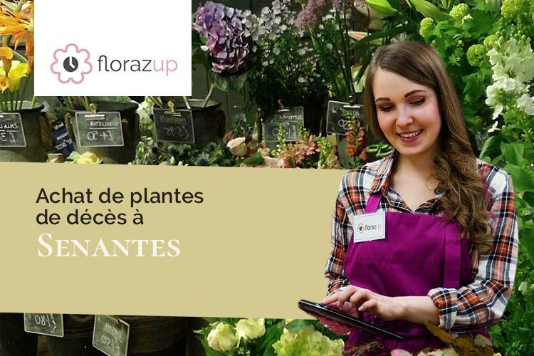 fleurs deuil pour une crémation à Senantes (Oise/60650)